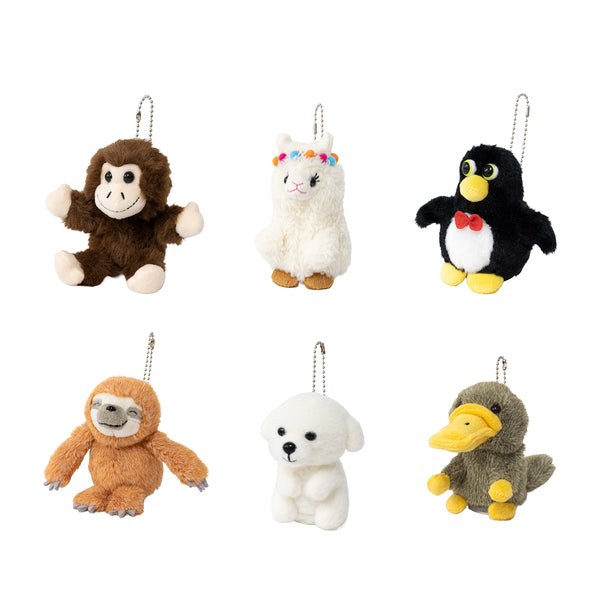 5129009_B1_600x600_crop_center