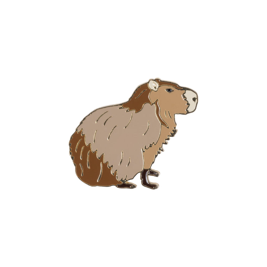 ピンズ