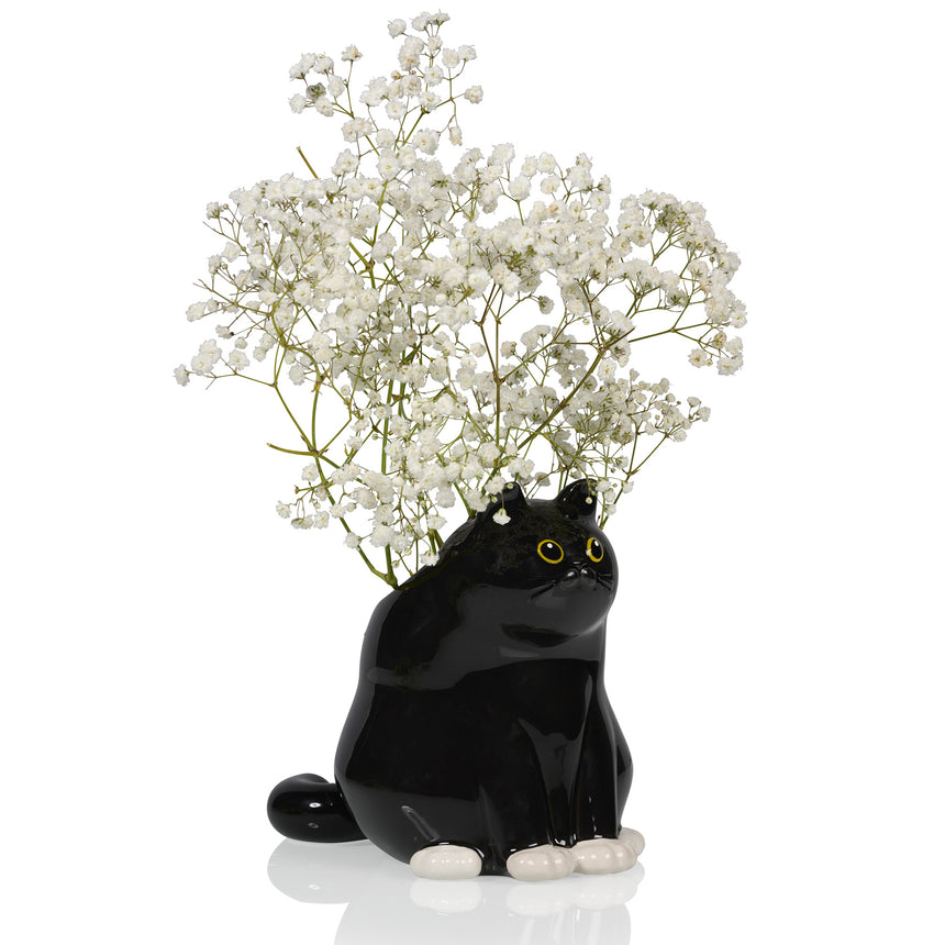 ブラックキャット ベース